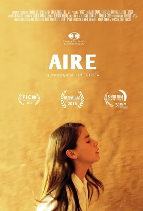 Air (movie)