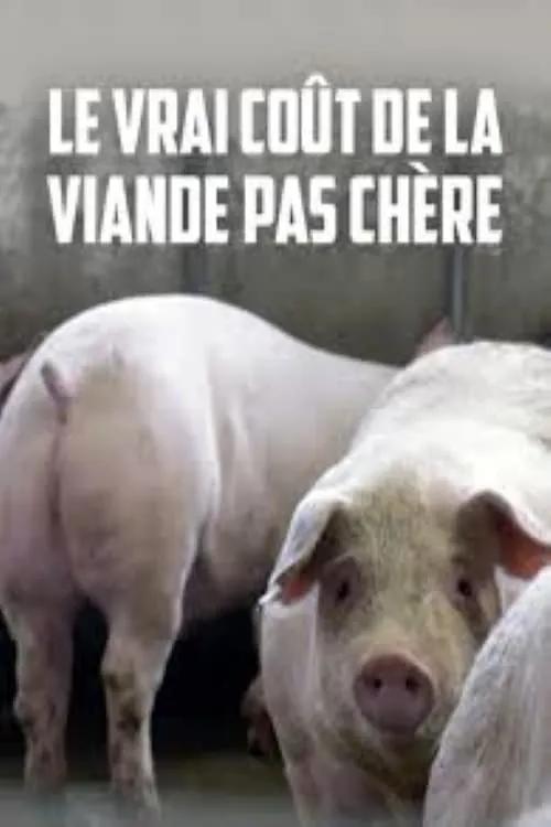 Le vrai coût de la viande pas chère (фильм)