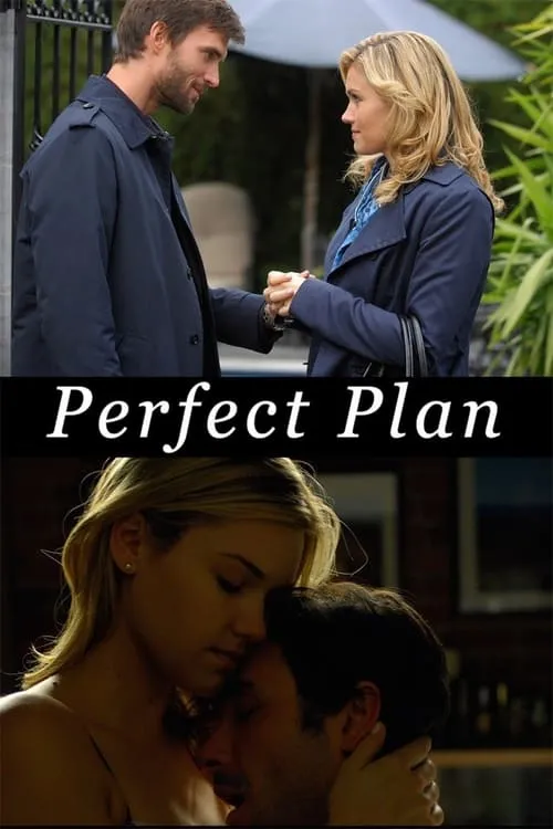 Perfect Plan (movie)