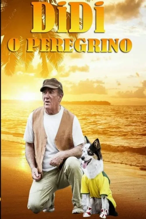 Didi, o Peregrino (фильм)