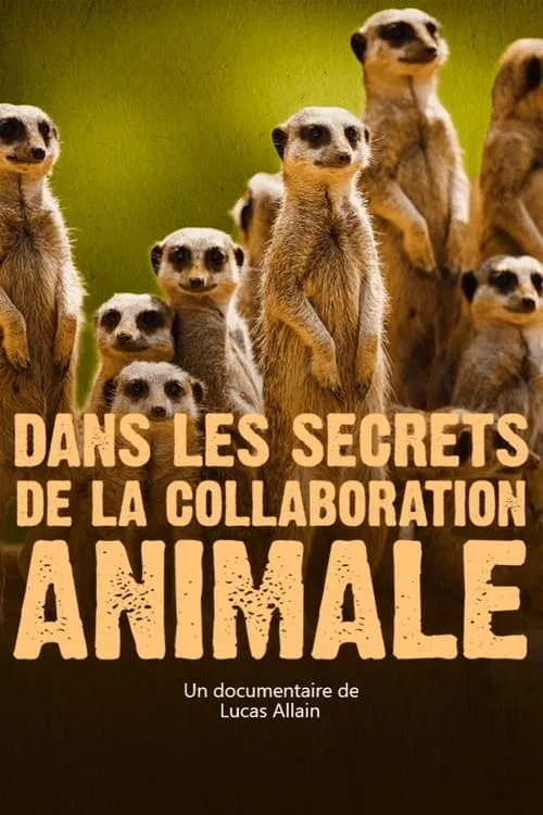 Dans les secrets de la collaboration animale (фильм)