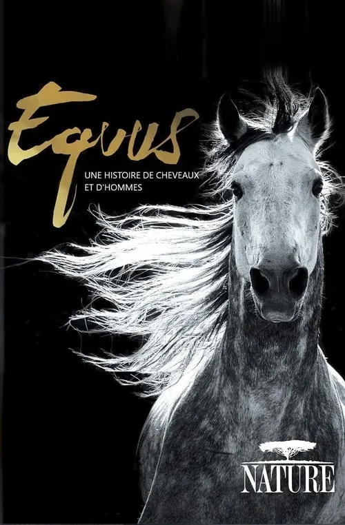 Equus, une histoire de chevaux et d'hommes