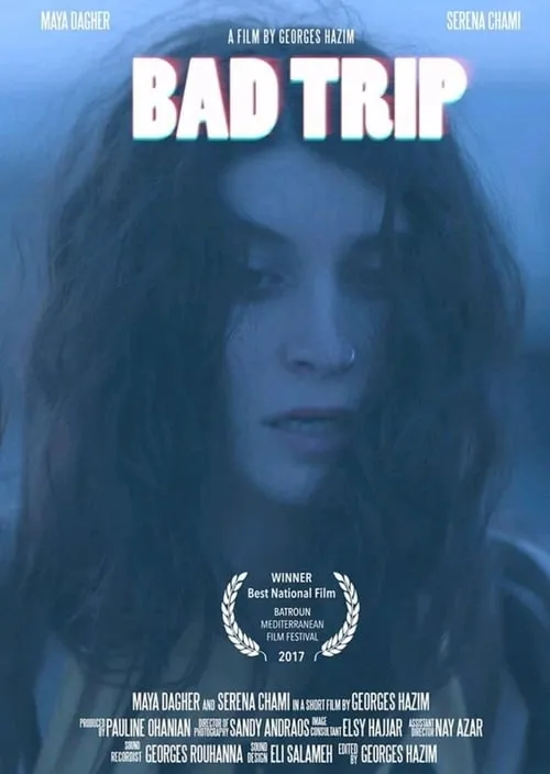 Bad Trip (фильм)