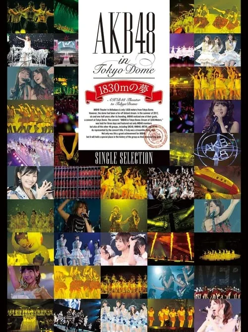 AKB48 in TOKYO DOME ~1830m no Yume~ (movie)