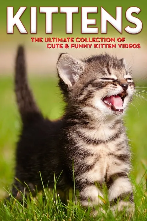 Kittens The Ultimate Collection of Cute & Funny Kitten Videos (movie)
