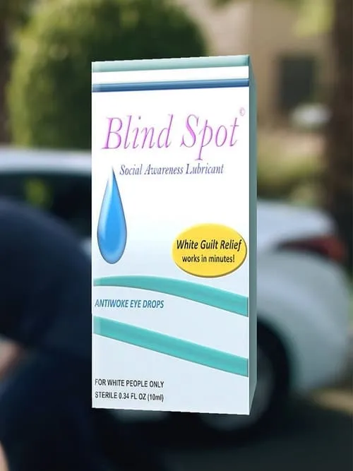 Blind Spot (movie)