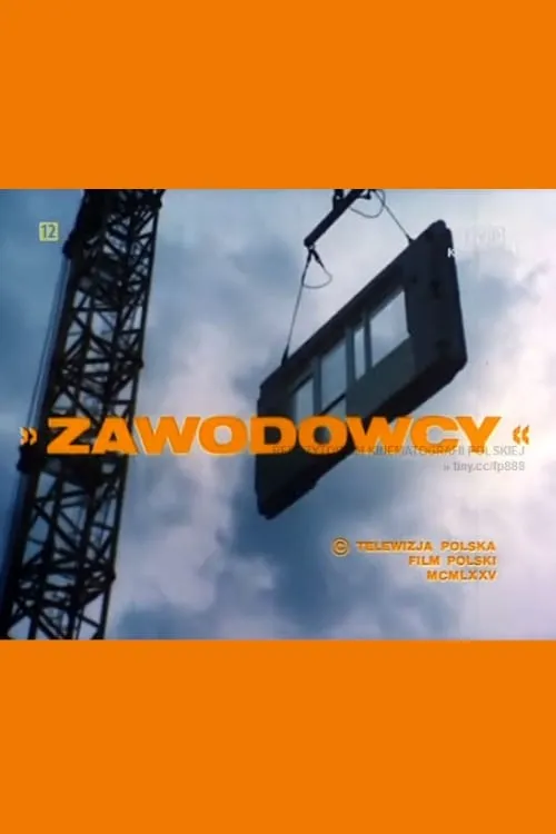 Zawodowcy (movie)