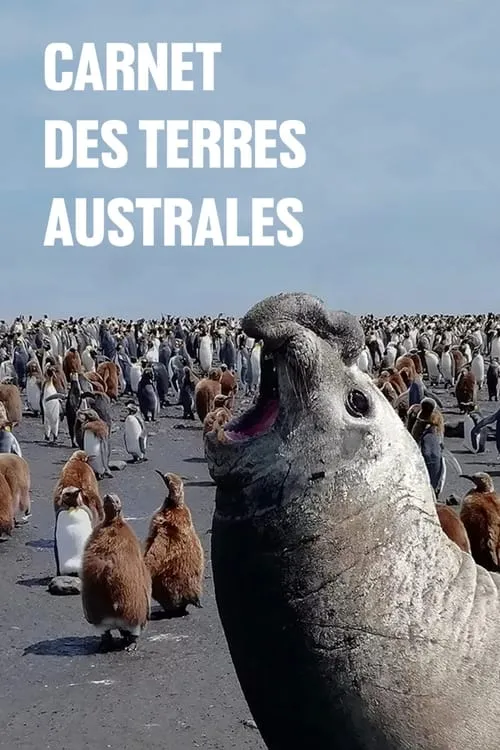 Carnet des Terres australes (фильм)