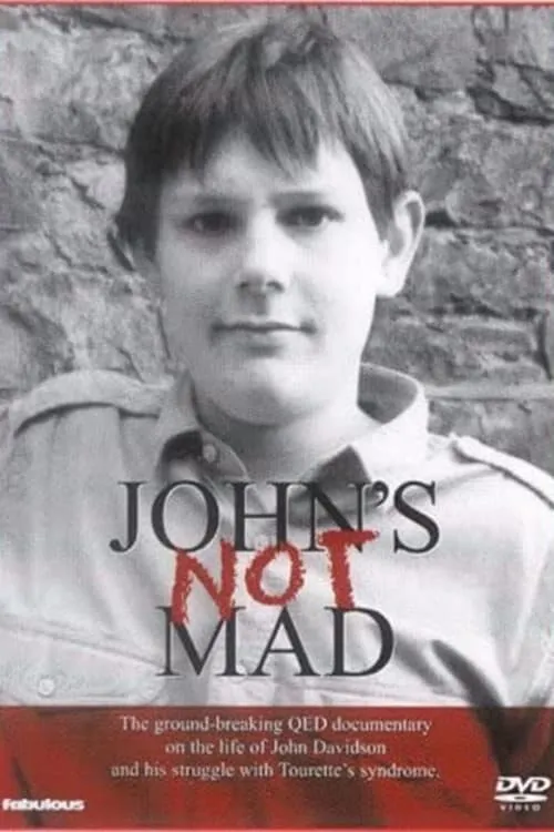 John's Not Mad (movie)