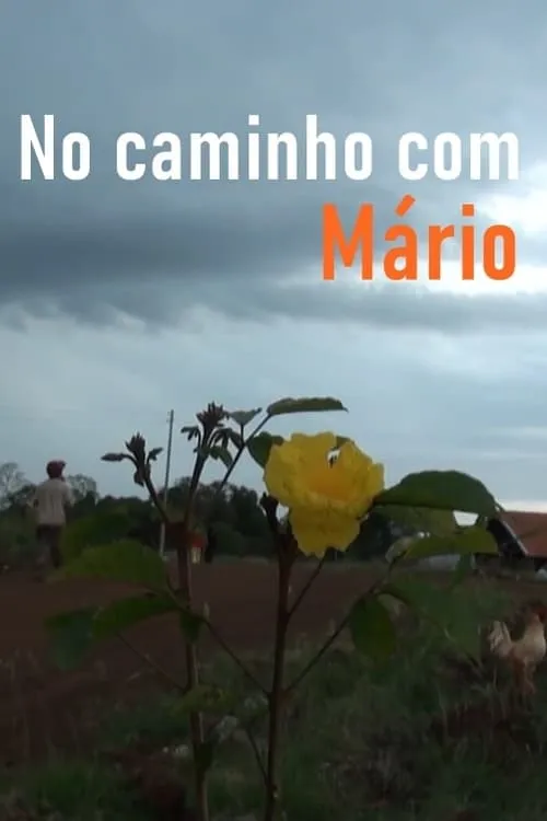 No Caminho com Mário