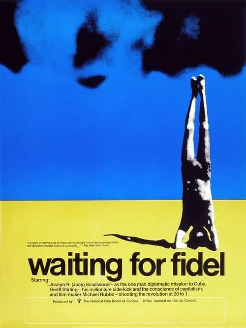 Waiting for Fidel (movie)