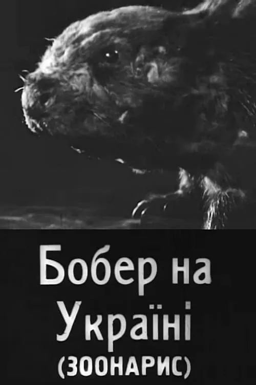 Beavers in Ukraine (movie)