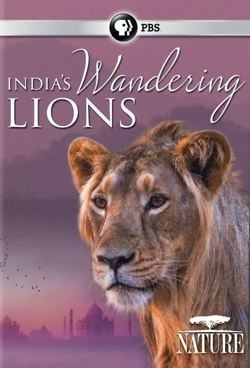 India's Wandering Lions (фильм)