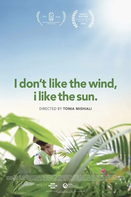 I Don't Like the Wind, I Like the Sun (movie)