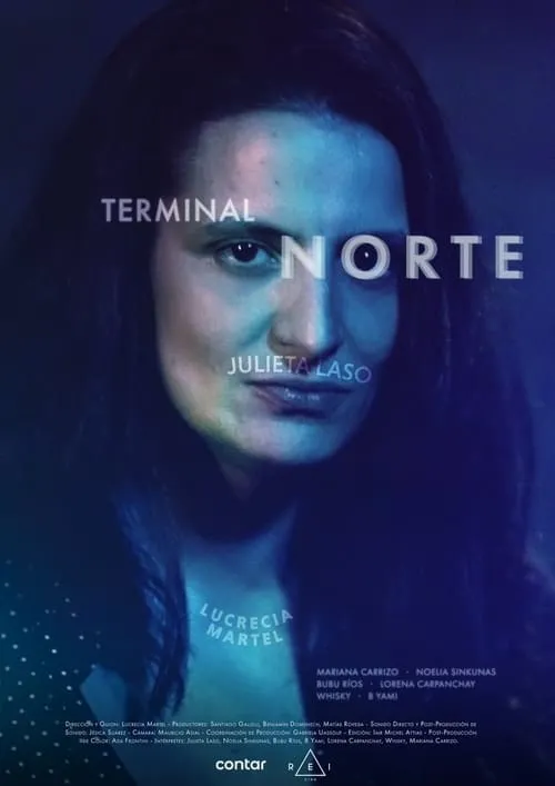 North Terminal (movie)