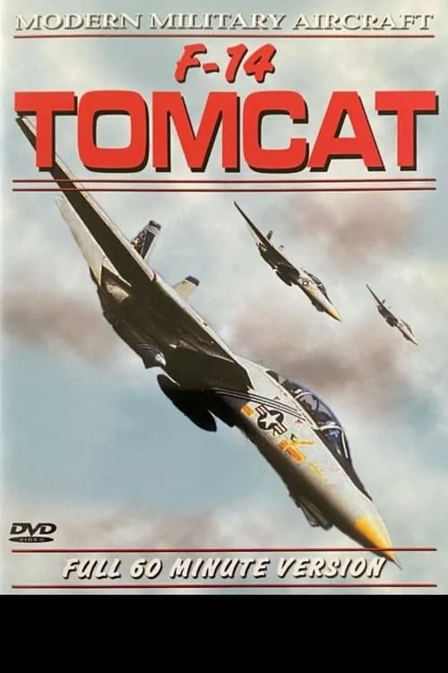 F-14 Tomcat