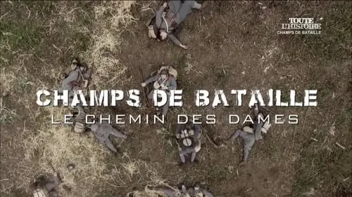 1917 - Chemin des Dames' Battle