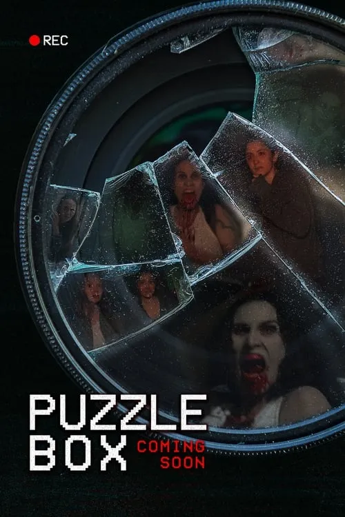 Puzzle Box