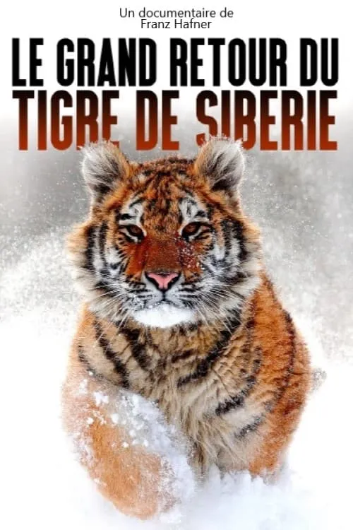 Le grand retour du tigre de Sibérie (фильм)