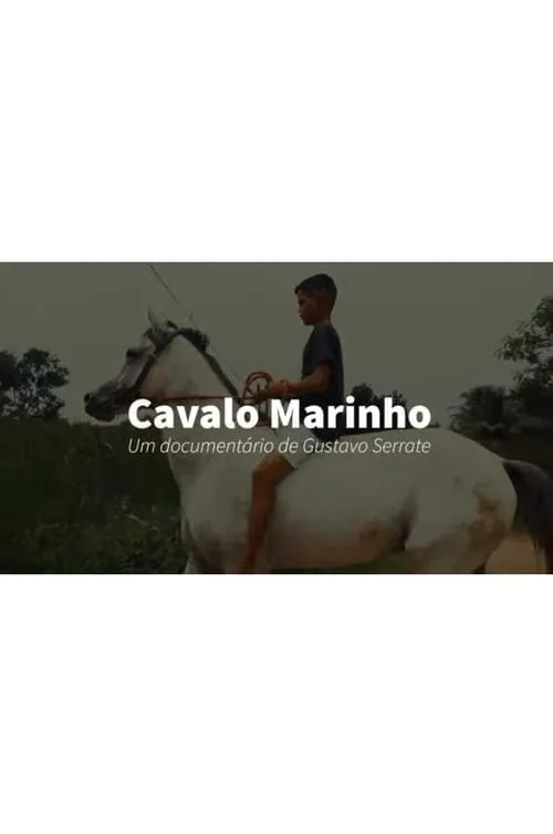 Cavalo Marinho (фильм)