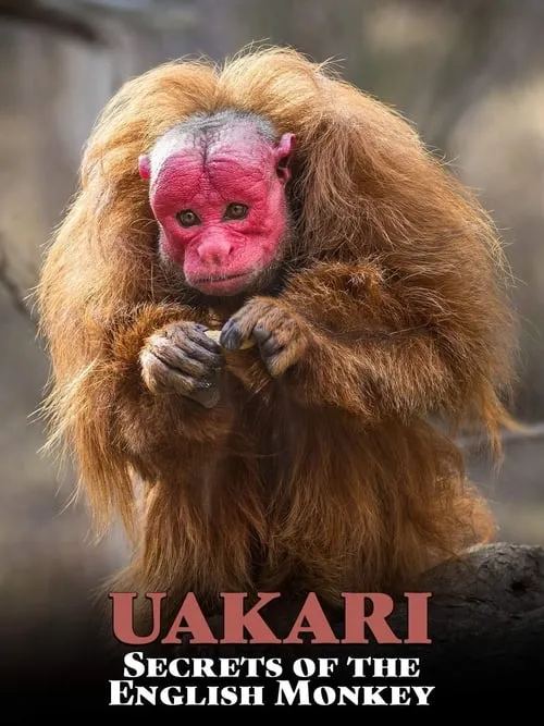 Uakari: Secrets of the English Monkey (фильм)