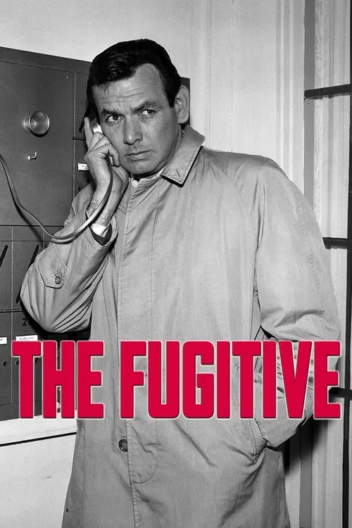 The Fugitive (series)