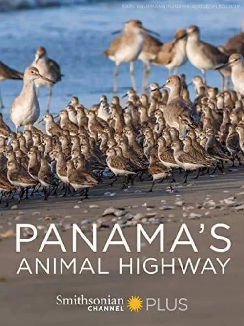 Panama's Animal Highway (movie)