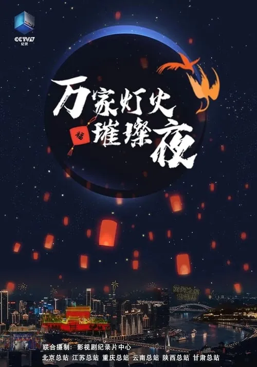 万家灯火璀璨夜 (series)