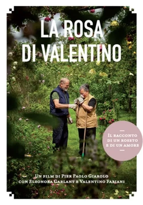 La rosa di Valentino (фильм)