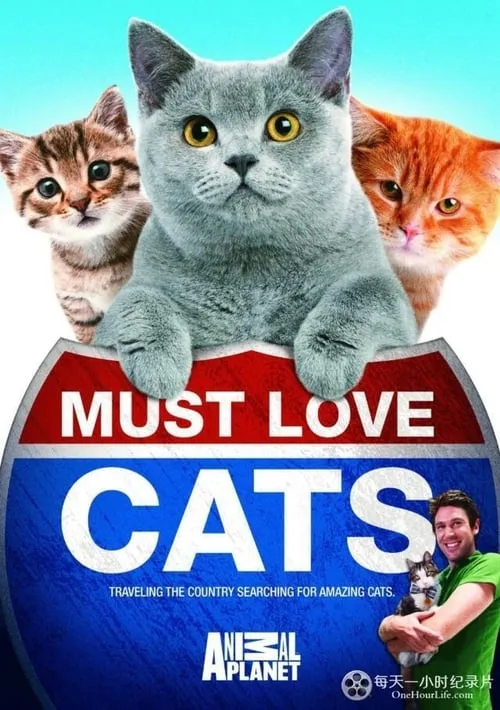 Animal Planet: Must Love Cats (series)