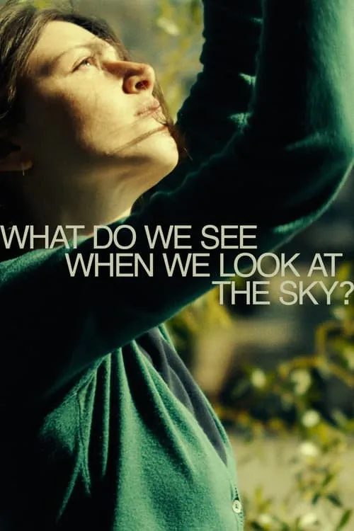 What Do We See When We Look at the Sky?