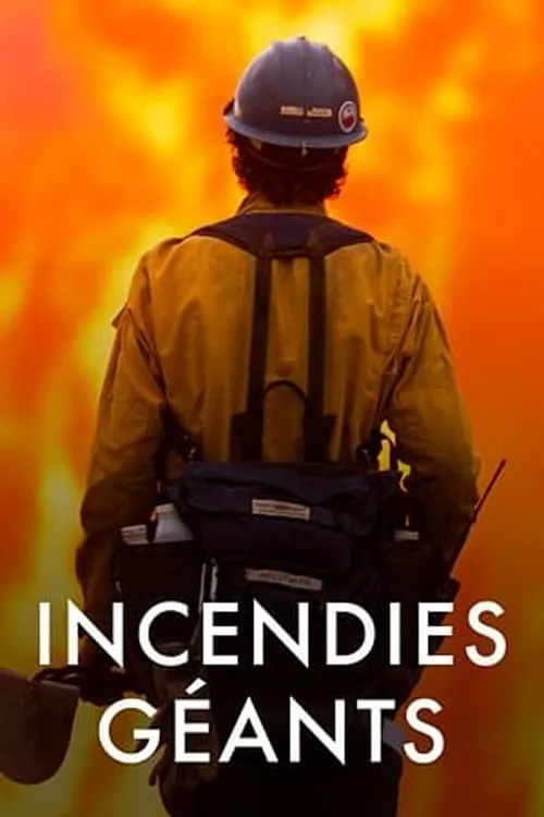 Incendies géants : enquête sur un nouveau fléau (фильм)