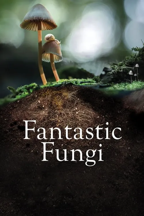 Fantastic Fungi (movie)