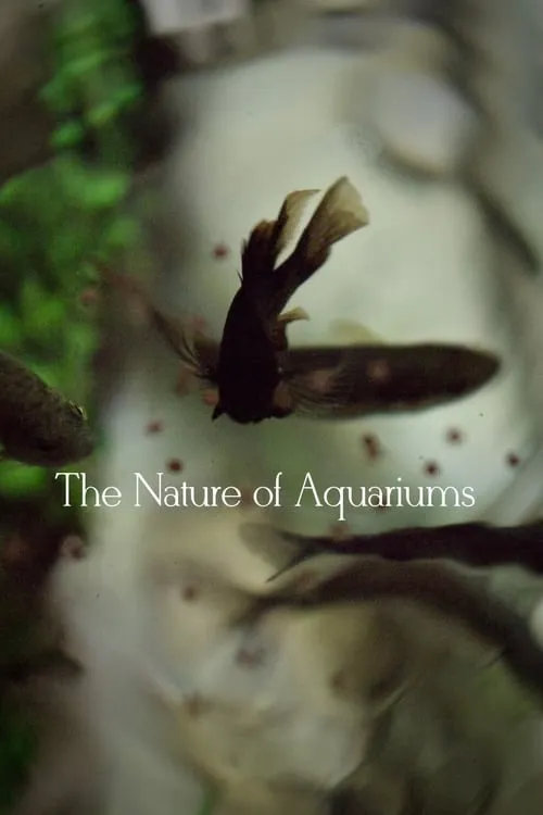 The Nature of Aquariums (movie)