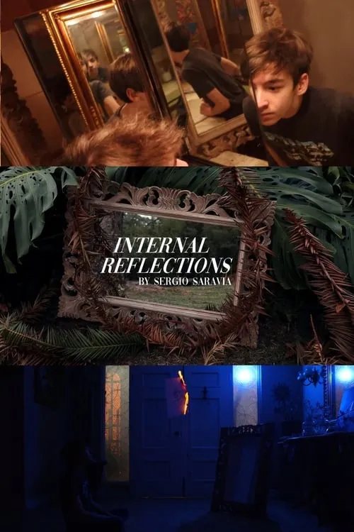 Internal Reflections (movie)