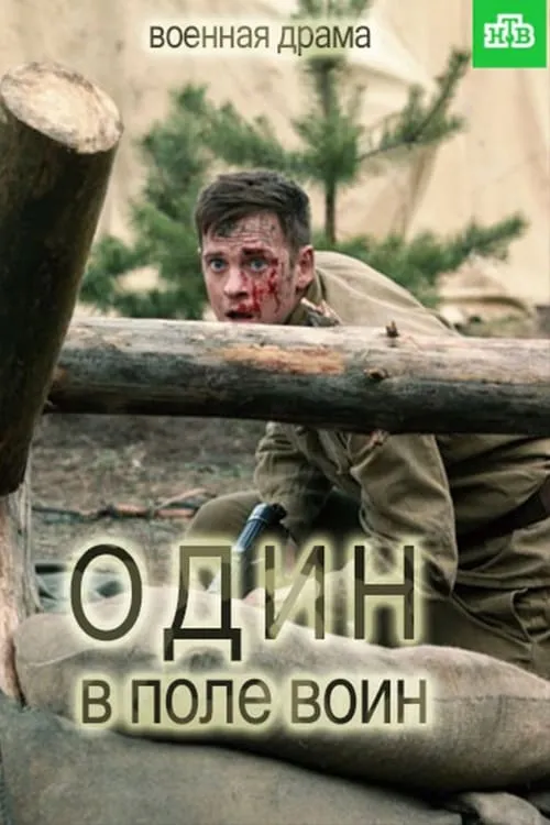 Один в поле воин (сериал)