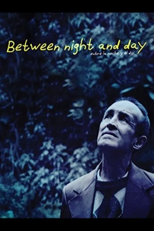 Between Night and Day (movie)