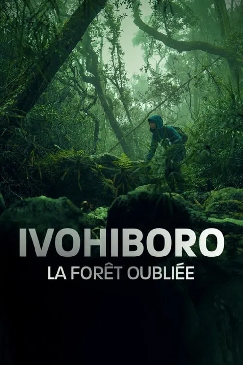 Ivohiboro, la forêt oubliée