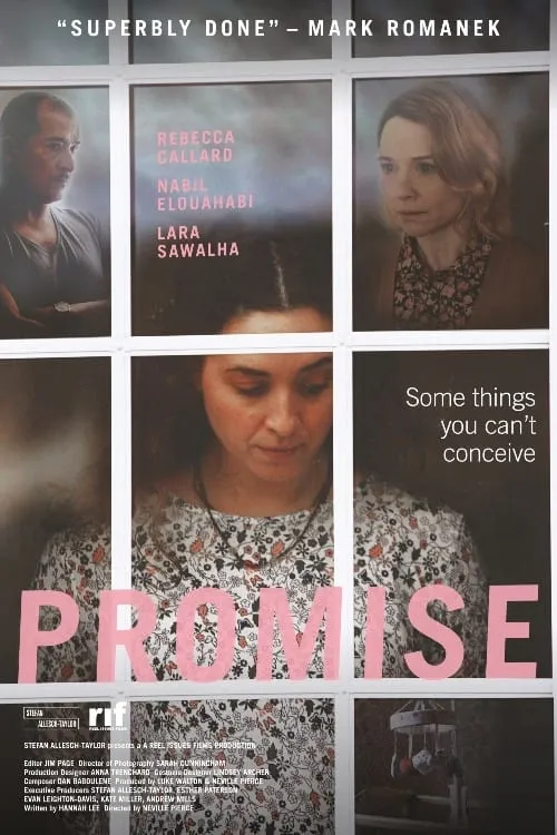 Promise (фильм)