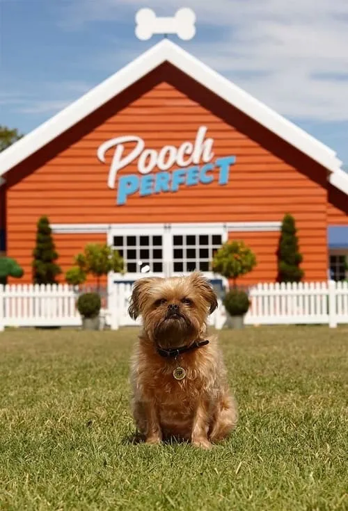 Pooch Perfect (сериал)