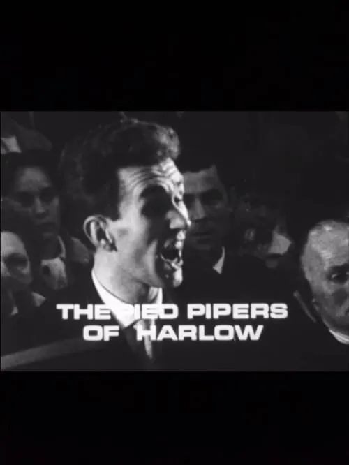 The Pied Pipers of Harlow (movie)