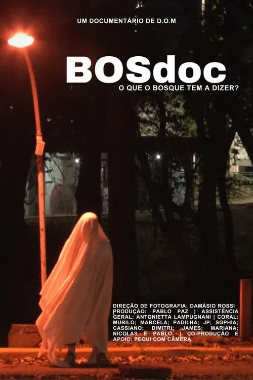 BOSdoc (movie)