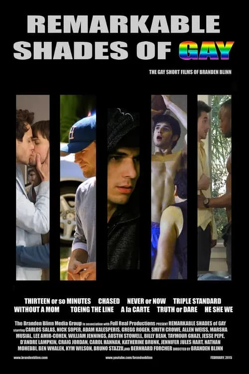 Remarkable Shades of Gay (movie)