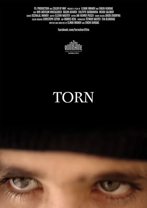 Torn (фильм)