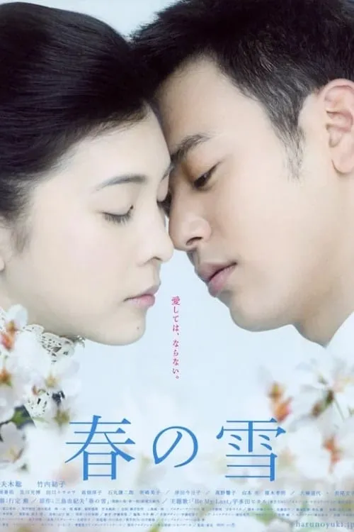 Spring Snow (movie)