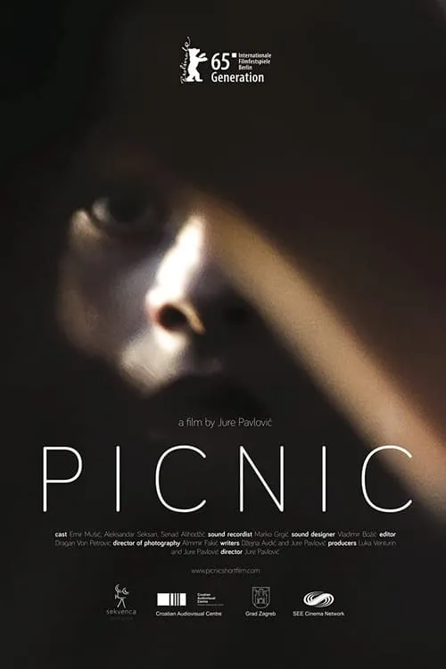 Picnic (movie)