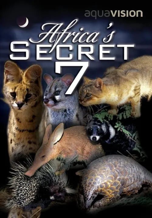 Africa's Secret Seven (movie)