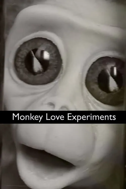 Monkey Love Experiments (фильм)