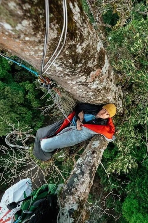 Canopy Climbers (фильм)