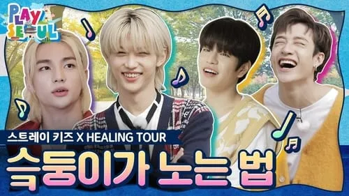 Stray Kids X Healing Tour